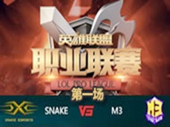 LPL20162ܣSnake vs M31121