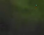 ˵ 1rank ˹һӽ